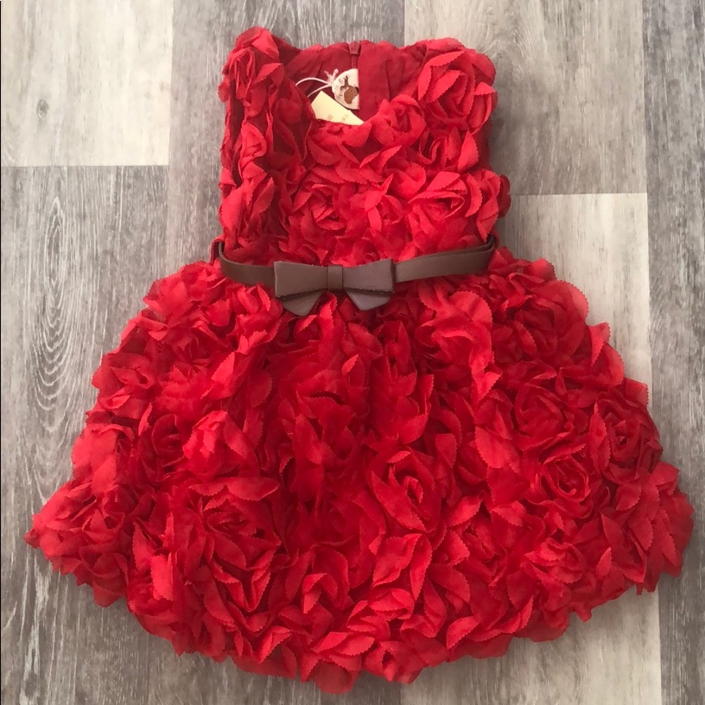 Girl Boutique Rosette Dress 💫HP💫